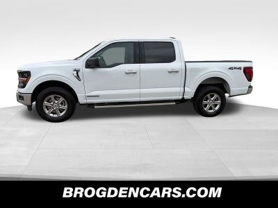 2025 Ford F-150 XLT